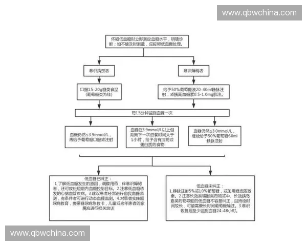 围绕科学控糖策略打造稳定血糖与健康生活的全面指南